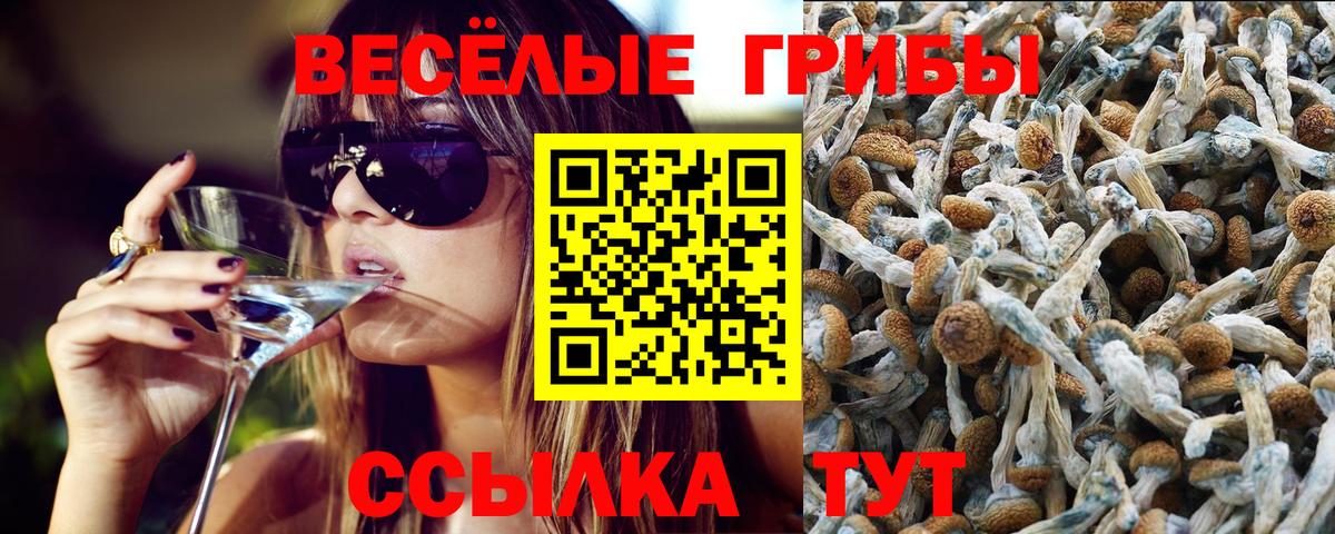 Псилоцибиновые грибы мицелий Кунгур