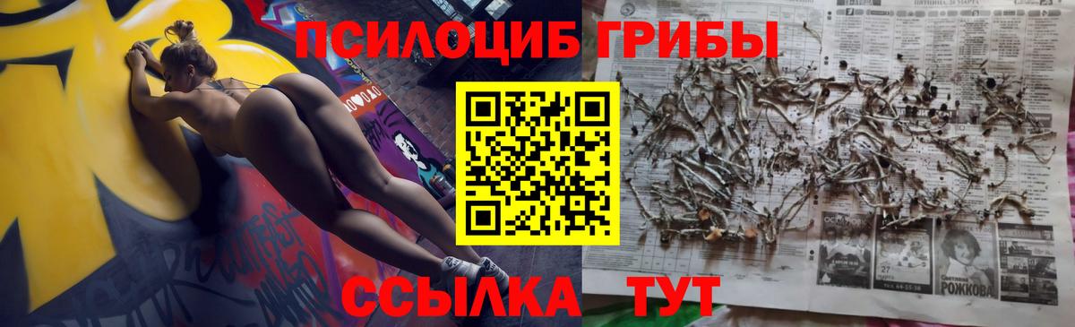Псилоцибиновые грибы мухоморы  Вход с VPN  Галлюциногенные грибы MAGIC MUSHROOMS  купить  сайты  Кунгур 